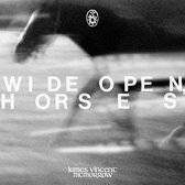 James Vincent Mcmorrow - Wide open, horses (CD)