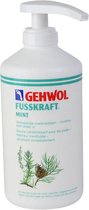 Gehwol Fusskraft Mint - 10 x 500 ml voordeelverpakking