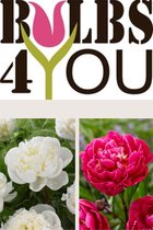 Bulbs4you - Paeonia White & Red Collectie - 2 stuks - Pioenen - Pioenroos - Pioenrozen