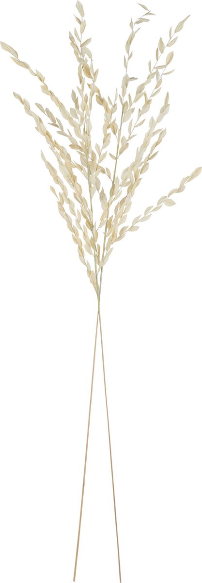 J-Line gedroogde Bladeren - jute - naturel - large