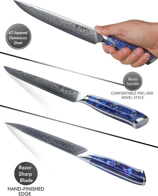 Vleesmes Damastmes, Trancheermes 23 cm Professioneel scherp Keukenmes 67 lagen Japans damaststaal VG10 met Hars Handvat - Xuan serie(Saffier blauw)