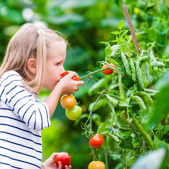 COSTWAY Tomaten Klimhulp, set van 3, diameter 50 cm, verstelbare hoogte, 3 ringen, tomatenkooi, plantenkooi, plantensteun voor klimplanten, komkommers, bloemen, metaal en kunststof, groen, 154 cm hoog