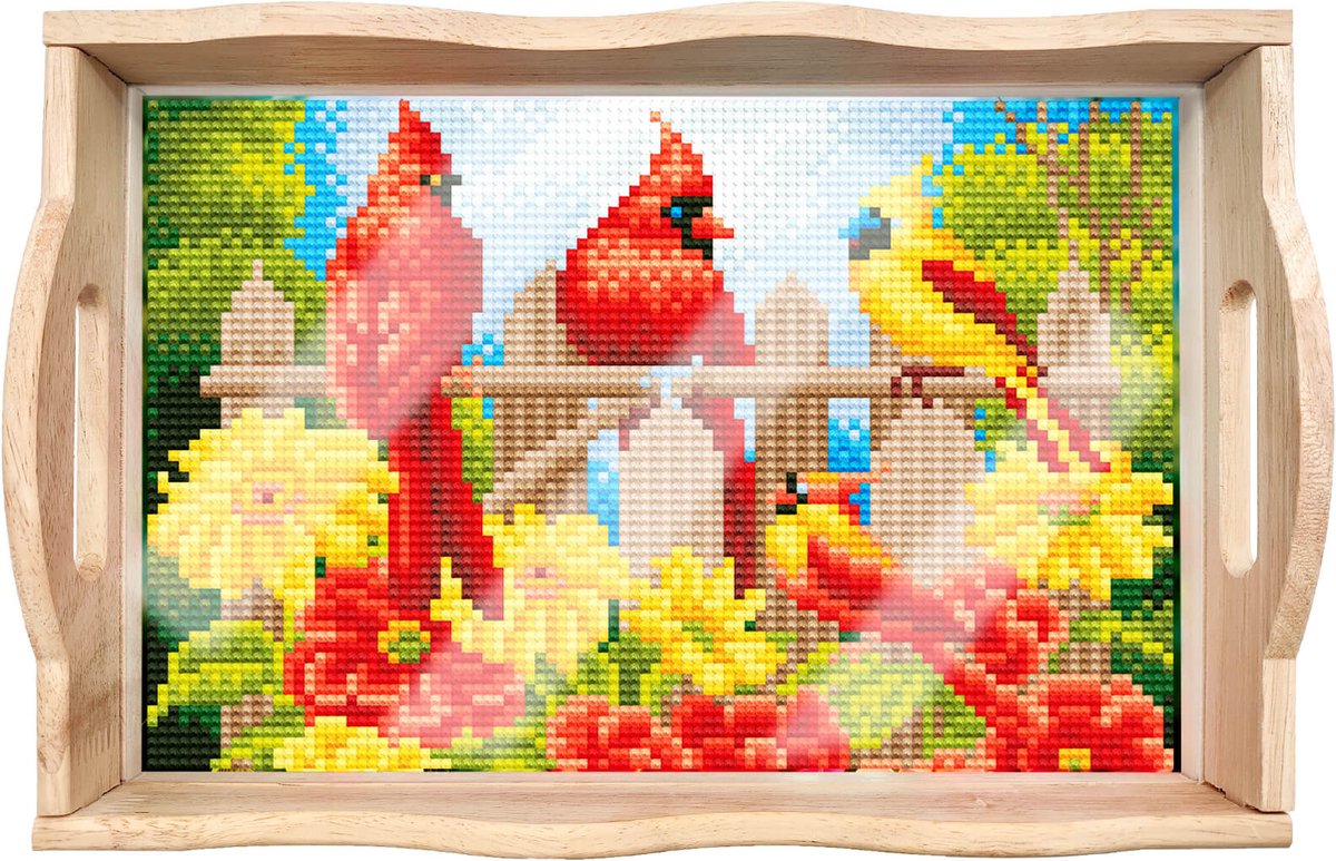 Adorzy Diamond Painting Dienblad Vogels – Diamond Painting Volwassenen – Diamond Painting Volledig Pakket DIY Pakket