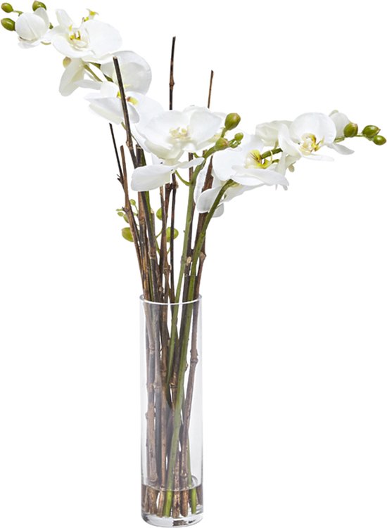 Witte kunstmatige waterillusie orchidee H55