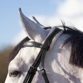QHP - Hoofdstel Ontario - Zwart - Pony