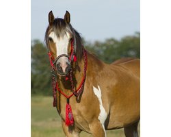 Qhp Touwhalster Combi Liberty Rood - paard