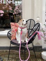 DWAM Dog with a Mission Hondenriem – Riem voor honden – Roze – Polyester/Leer – L – 220 x 1.4 cm – Extra Lange Sweety