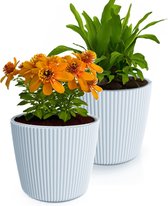 Prosperplast Plantenpot/bloempot Buckingham - 2x - buiten/binnen - lichtgrijs - D14 x H13 cm