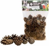Back Zoo Nature- Bodembedekking- Small Forest Pine Cones- Denneappels- Siervogels