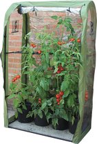 Kweekkas - Tomatenkas - Tomatenserre - Tomaten Kweekkas - Foliekas - Kweektent