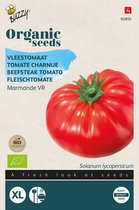 Buzzy Organic -Tomaat, Vleestomaat  Marmade BIO