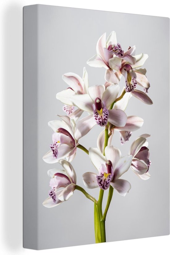 Canvas Schilderij De wit-roze orchideeën op een stam - Wanddecoratie