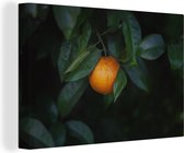 Canvas Schilderij Fruit - Sinaasappel - Boom - 60x40 cm - Wanddecoratie
