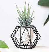BaykaDecor Diamant Vorm Vaas - Woondecoratie - Nordic Design Terrarium Planter - Metaal En Glas Vaas - Elegant Cactus Vaas - Zwart