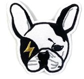 Wit Zwarte Franse / Engelse Bulldog Strijk Embleem Patch 8,2 x 8,1 cm Large