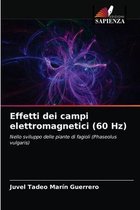 Effetti dei campi elettromagnetici (60 Hz)