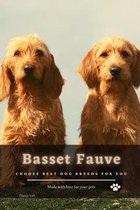 Basset Fauve