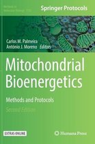 Mitochondrial Bioenergetics