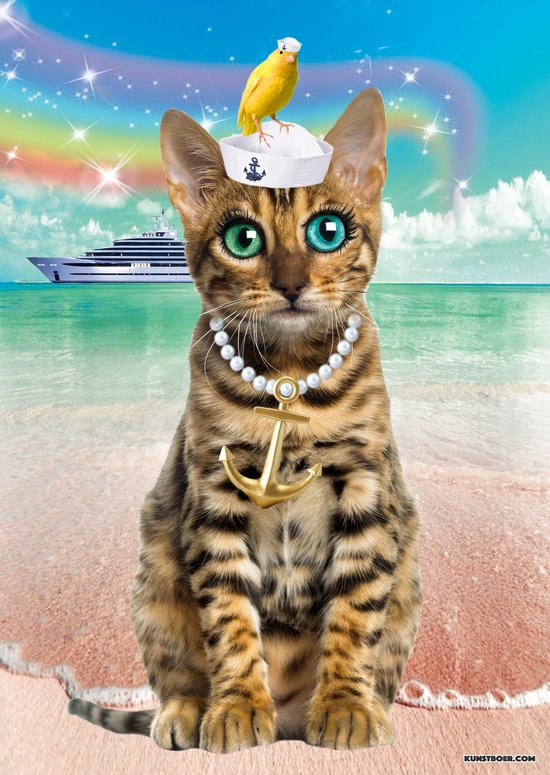 Poster Catsailor Poezenposer Kinderkamer