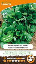 Protecta Groente zaden: Veldsla Groene van Louviers