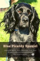 Blue Picardy Spaniel