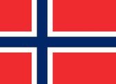 Vlag Noorwegen 40x60cm