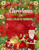 Christmas Adult Color By Numbers