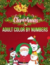 Christmas Adult Color By Numbers