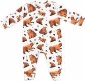 Misioo Boxpakje Teddy Bear - Kinderkleding - Jongen - meisje - kraamcadeau - kwaliteit kleding - beer - dieren - maat 56/62