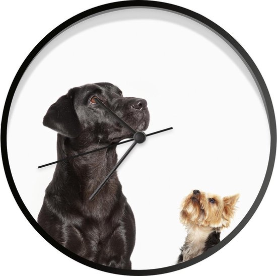 Nieuwjaar belasting Bijwonen Klok Honden Ø 30 cm - Omhoog kijkende honden - Modern - Zwarte wandklok met  foto | bol.com