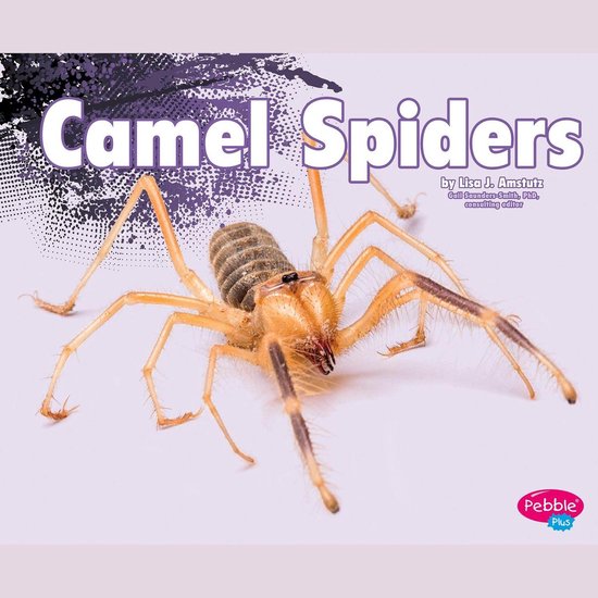 Camel Spiders - cover
