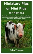 Miniature Pigs or Mini Pigs for Novices