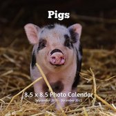 Pigs 8.5 X 8.5 Calendar September 2021 -December 2022