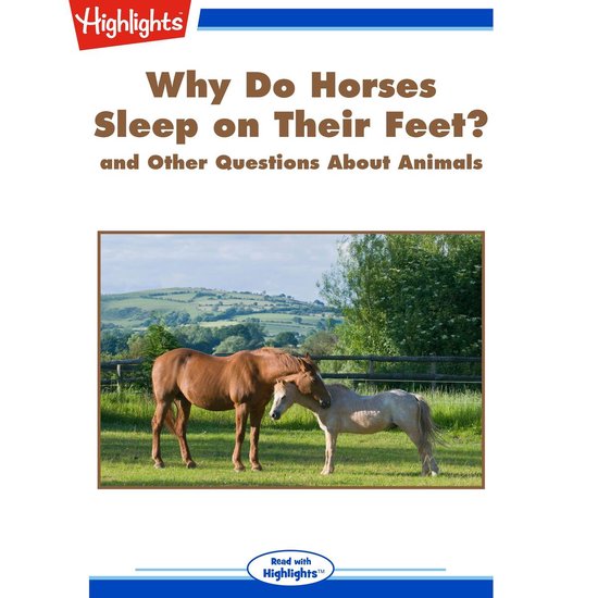 Why Do Horses Sleep on Their Feet?, Highlights For Children