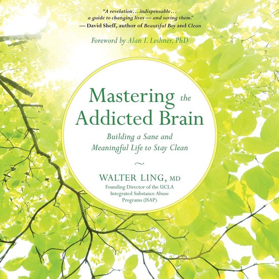 Mastering the Addicted Brain - cover