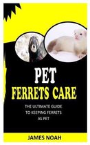 Pet Ferrets Care