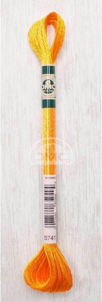 DMC MOULINÉ SATIN 2X8M - S0741
