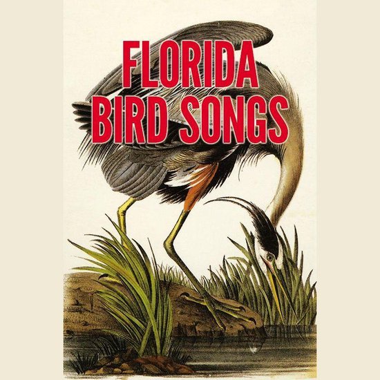 Florida Bird Songs - cover