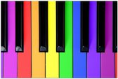 Poster – Gekleurde Piano Toetsen - 90x60cm Foto op Posterpapier