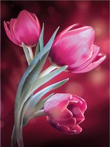 BWK Diamond Paintings - Roze Tulpen - 40x30cm(35x25cm) - Volledig pakket - Diamond Painting met Ronde Steentjes