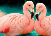 BWK Diamond Paintings - Twee Roze Flamingo's - 40x30cm(35x25cm) - Volledig pakket - Diamond Painting met Ronde Steentjes