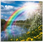 Forex - Regenboog met Zon bij het Water - 50x50cm Foto op Forex