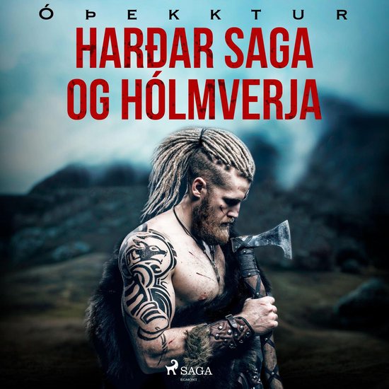 Harðar saga og Hólmverja - cover