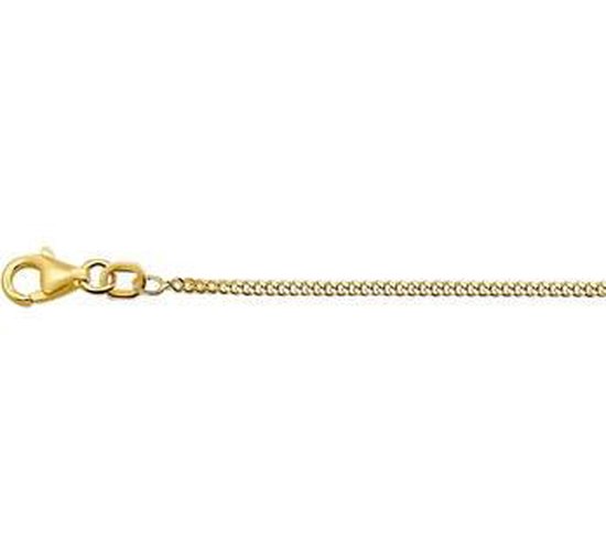 N-joy trendstyle Geelgouden collier met gourmet schakel 4345 lente 60 cm