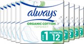 Always Cotton Protection Ultra Normal - Maat 1 - Voordeelverpakking 10 x 12 Stuks - Maandverband Met Vleugels
