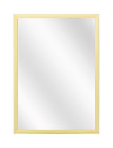 Spiegel met Luxe Aluminium Lijst - Mat Champagne - 40 x 50 cm