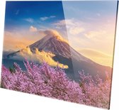 Top Media Groep - Schilderij - Mount Fuji Japan Natuur - Multicolor - 60 X 90 Cm