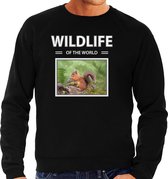 Dieren foto sweater Eekhoorn - zwart - heren - wildlife of the world - cadeau trui Eekhoorns liefhebber M