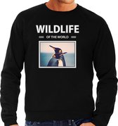 Dieren foto sweater Pinguin - zwart - heren - wildlife of the world - cadeau trui Pinguins liefhebber M
