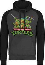 Teenage Mutant Ninja Turtles Hoodie/trui -M- Turtles Distressed Group Grijs/Zwart